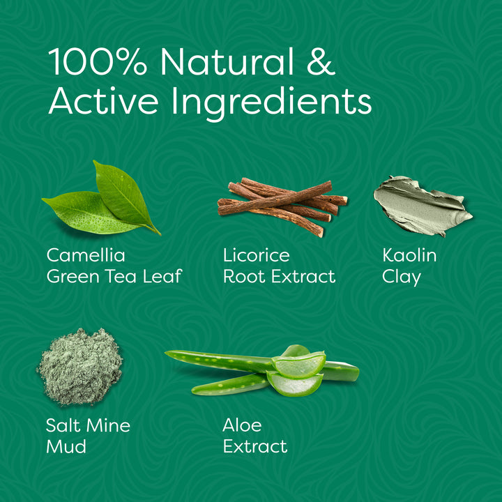 Aesta Green Tea Mask Stick, Gradual Blackhead Remover, Natural Pore-Cleaning, Detoxifying, Nourishing Face Mask: Skin Care Made Simple and Mess-Free | Mask Stick to Last 4 Months | Fits All Skin Types